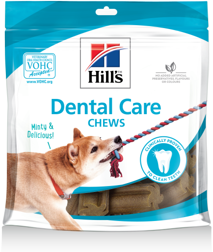 Hill's Prescription Diet t/d therapeutic dental food